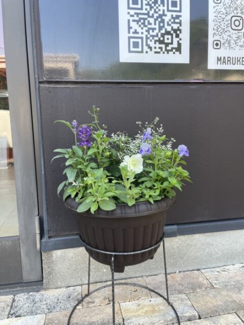 華やかになりました